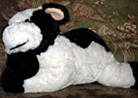Cuddly Cow